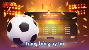 Trang bóng uy tín có các yếu tố chất lượng để cá cược